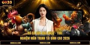 Đá gà cựa dao ok33 trải nghiệm màn tranh tài đỉnh cao 2026
