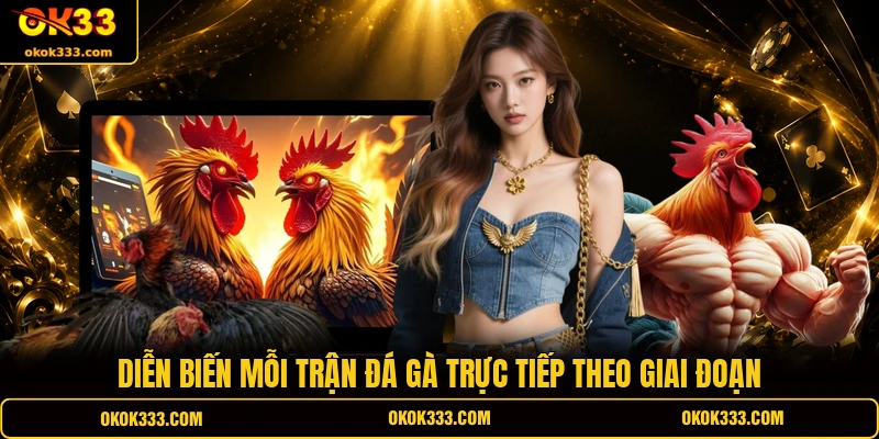 Diễn biến mỗi trận đá gà trực tiếp theo giai đoạn