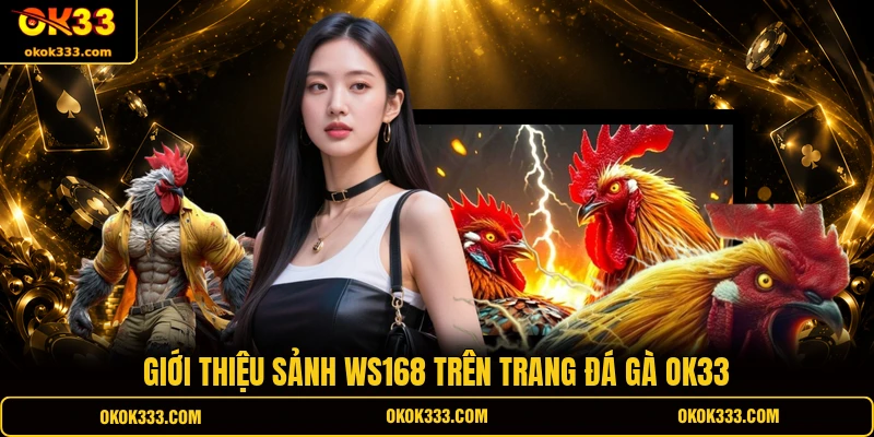 Giới thiệu sảnh WS168 trên trang đá gà OK33