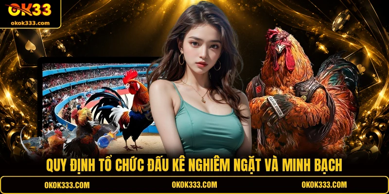 Quy định tổ chức đấu kê nghiêm ngặt và minh bạch