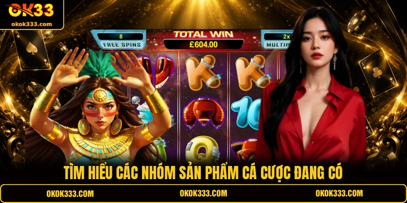 Tìm hiểu các nhóm sản phẩm cá cược đang có 